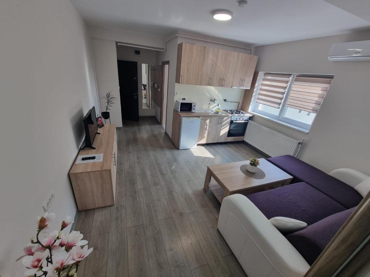 City Premium Apartments Тимишоара Екстериор снимка