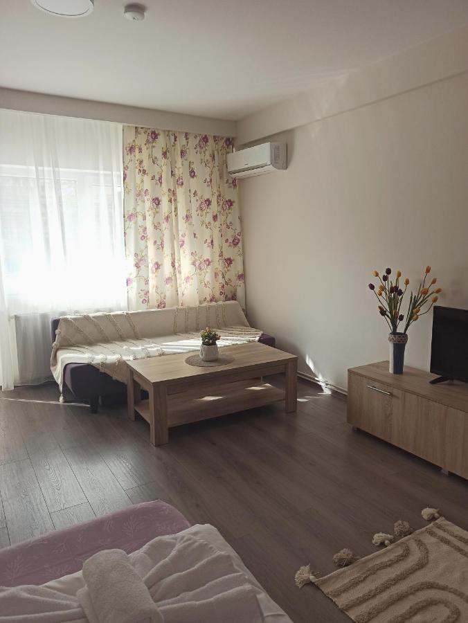 City Premium Apartments Тимишоара Екстериор снимка