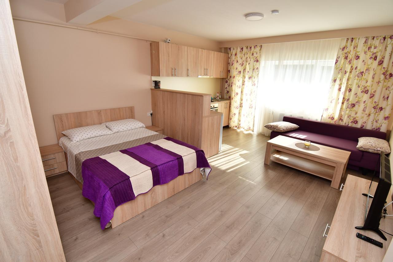 City Premium Apartments Тимишоара Екстериор снимка
